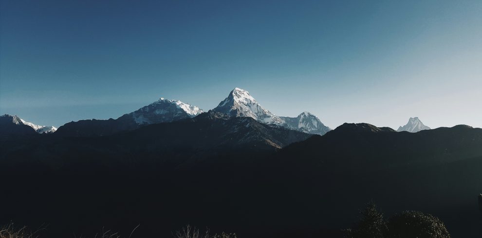 nixon-osckar-UMNCNB9HX7I-unsplash