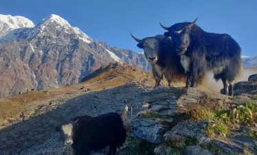Dhorpatan Hunting Reserve