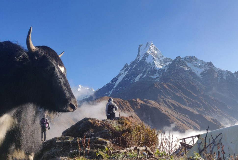 Tilicho Lake: Trekking to One of the World’s Highest Lakes