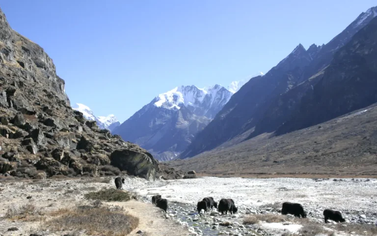 Langtang National Park